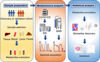 Metabolomics in hepatocellular carcinoma: From biomarker discovery to precision medicine